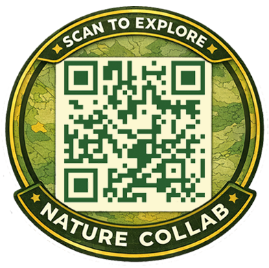 Nature Collab QR